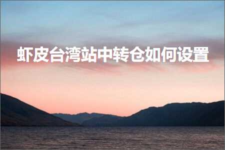 璺ㄥ鐢靛晢鐭ヨ瘑:铏剧毊鍙版咕绔欎腑杞粨濡備綍璁剧疆